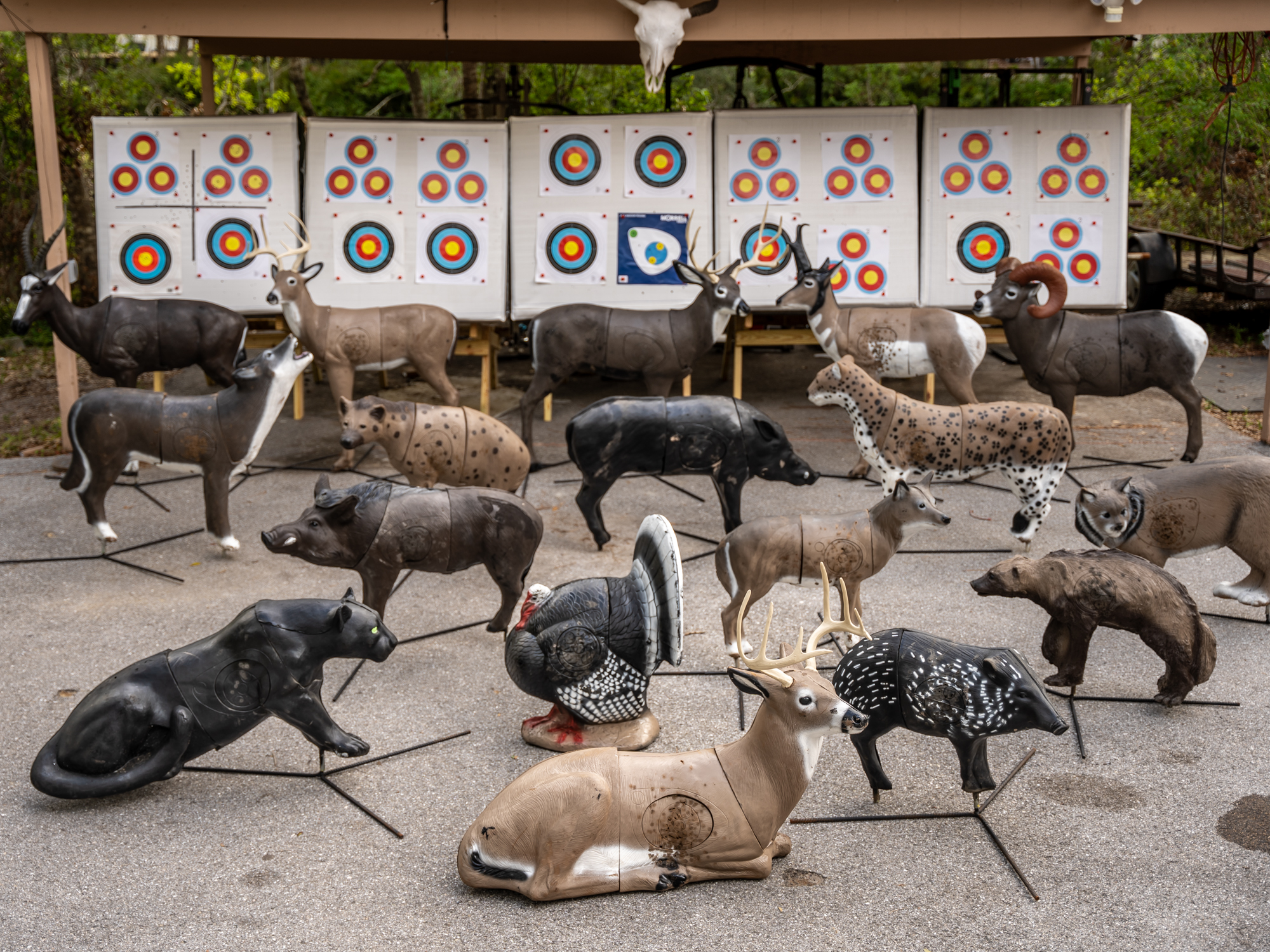 Private ASA 3D archery tournament field at Archery Sarasota in Sarasota, FL — regulation target bales and 3D animal targets